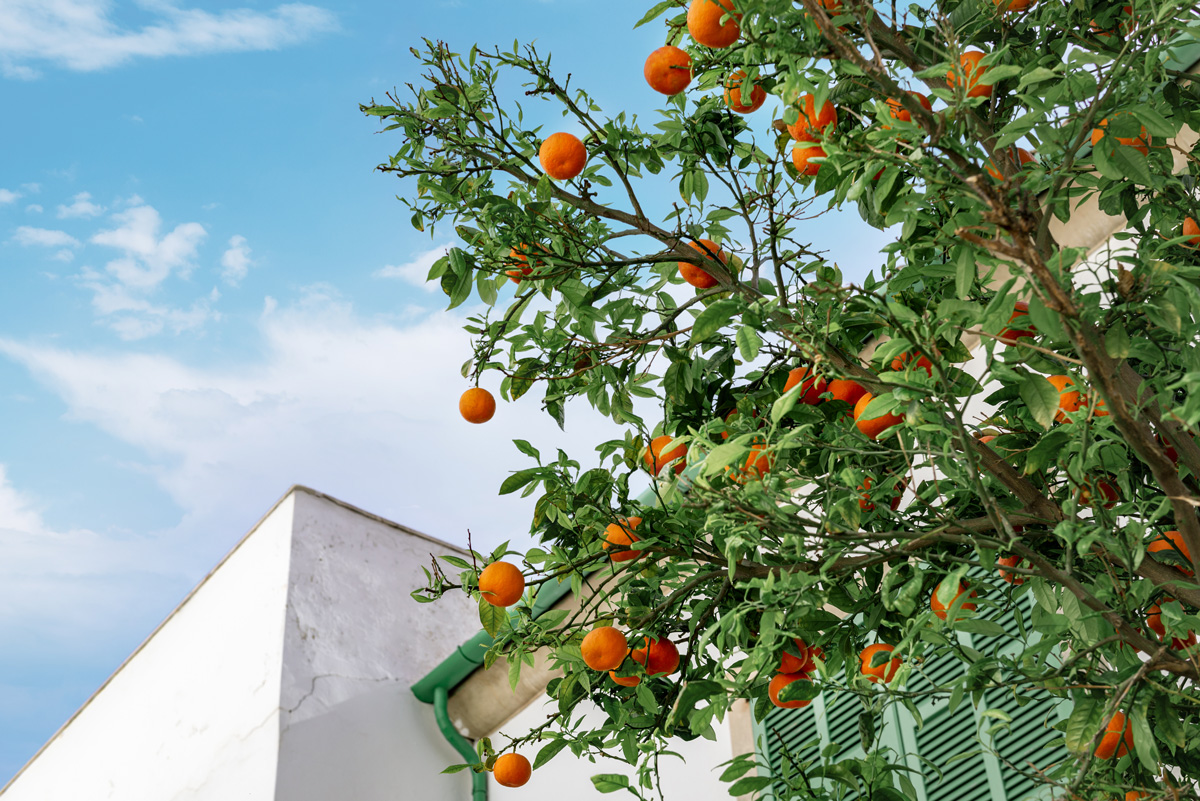 PHILEO SOINS HYGIENE Bannière bas page 1